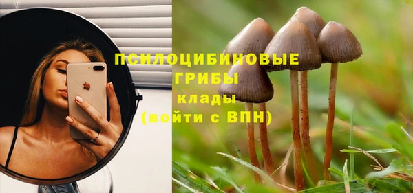 дживик Липки