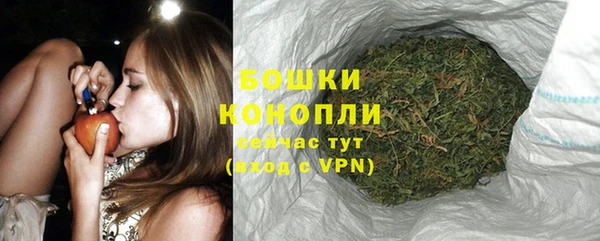 спиды Кадников