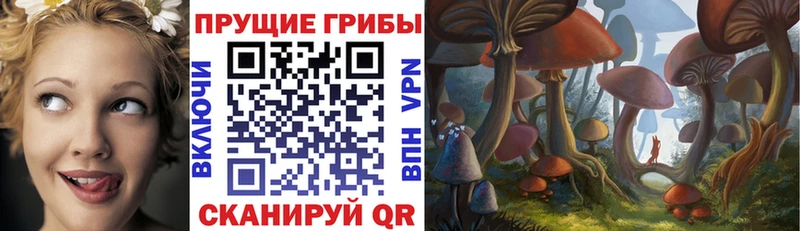 продажа наркотиков  Зуевка  Галлюциногенные грибы MAGIC MUSHROOMS 